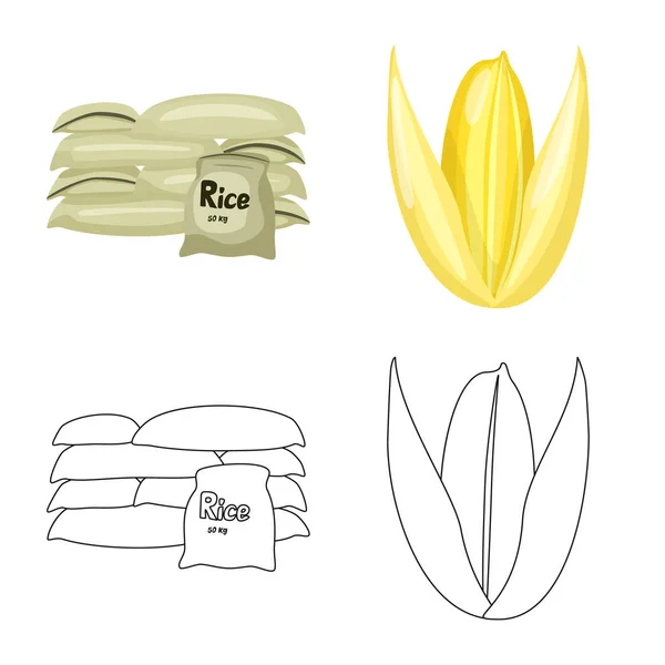 作物と生態学的なアイコンの孤立したオブジェクト。作物や株式の調理のベクター アイコン集. — ストックベクタ