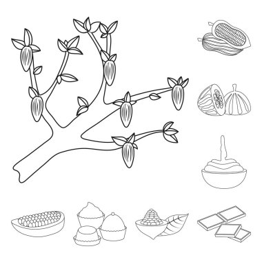 Kakao ve fasulye simge vektör Illustration. Kakao ve tatlılık hisse senedi vektör çizim topluluğu.