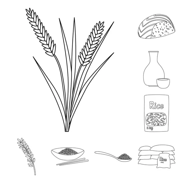 Isoliertes Objekt der Ernährung und Kochikone. Sammlung von Ernährung und biologischer Bestandsvektorillustration. — Stockvektor