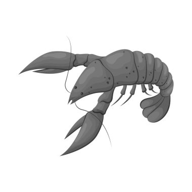 Istakoz ve kırmızı sembolüvektör tasarımı. Stok için ıstakoz ve atlantik vektör simgesi seti.