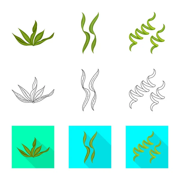 Ilustração vetorial de proteína e logotipo do mar. Coleção de proteínas e estoques naturais ilustração vetorial . — Vetor de Stock