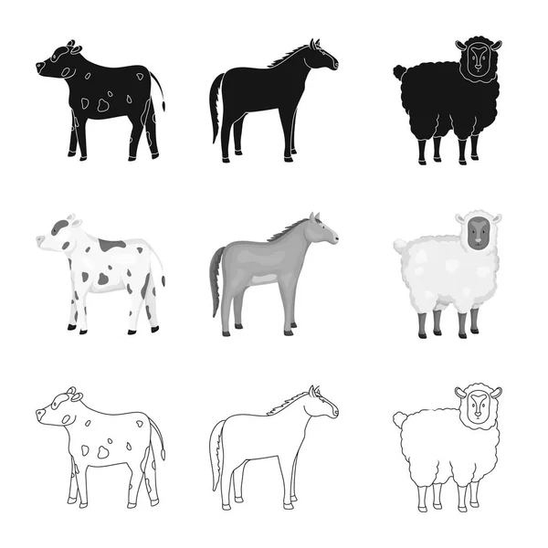 Vector design of breeding and kitchen  icon. Set of breeding and organic  stock vector illustration. — Stock Vector