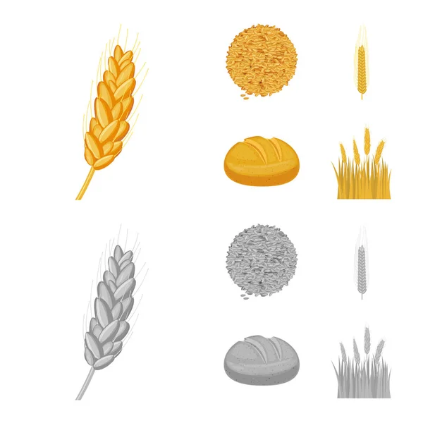 Diseño vectorial del logotipo agrícola y agrícola. Colección de ilustración de vectores agrícolas y vegetales . — Archivo Imágenes Vectoriales