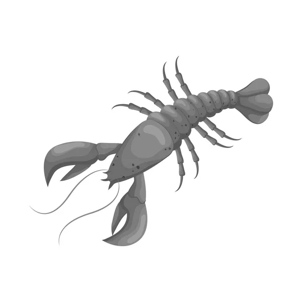 Design vetorial de lagosta e ícone vermelho. Coleta de lagosta e ilustração do vetor de estoque atlântico . — Vetor de Stock