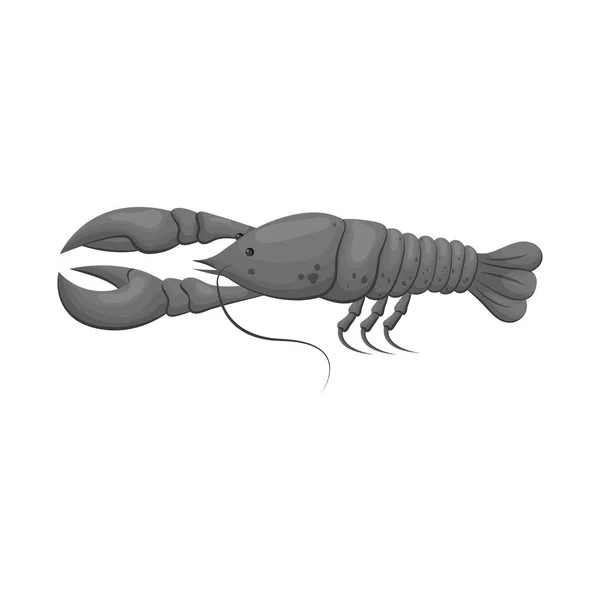 Objek terisolasi dari crayfish dan ikon lobster. Set dari crayfish dan direbus saham vektor ilustrasi . - Stok Vektor