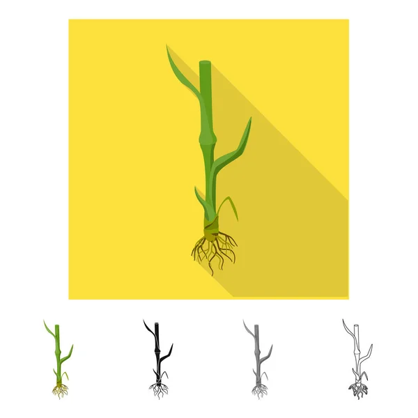 Vektorillustration av jordbruk och jordbruk symbol. Uppsättning av jordbruk och växt vektor ikonen för lager. — Stock vektor