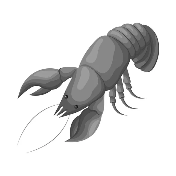 Projeto vetorial de lagosta e símbolo vermelho. Conjunto de lagosta e ícone de vetor subaquático para estoque . —  Vetores de Stock