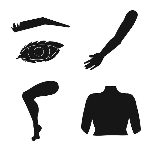 Векторная иллюстрация иконки тела и части тела. Коллекция символов тела и анатомии для паутины . — стоковый вектор