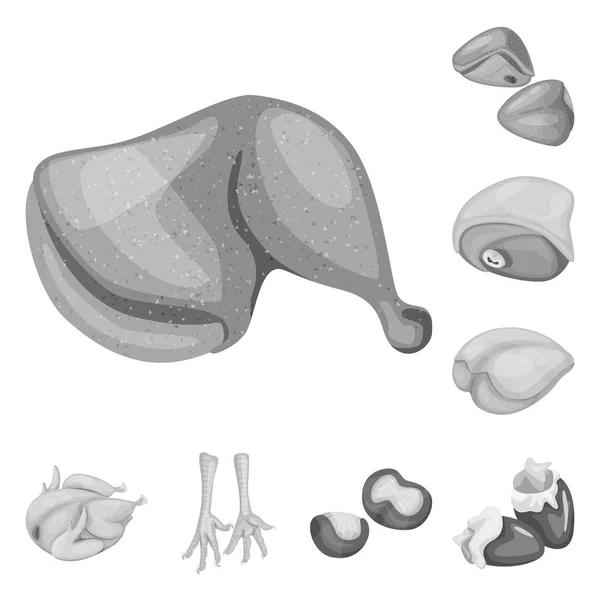 美食和鸟类符号的矢量设计。一套美食和家禽股票符号为网络. — 图库矢量图片