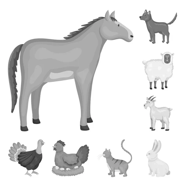 Ilustración vectorial de la granja y el símbolo de la agricultura. Conjunto de homestead y cocina símbolo de stock para web . — Vector de stock