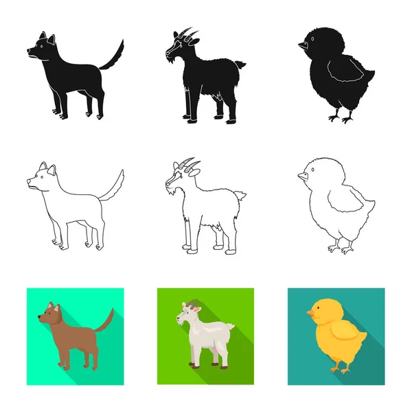 Ilustración vectorial de crianza y símbolo de cocina. Conjunto de crianza y vector orgánico icono para stock . — Vector de stock