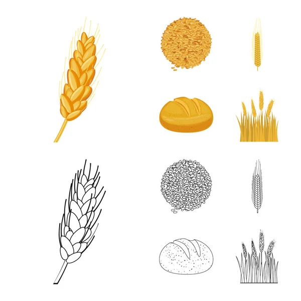 Векторное проектирование сельского хозяйства и сельскохозяйственного символа. Набор векторных иллюстраций для сельского хозяйства и растительного фонда . — стоковый вектор