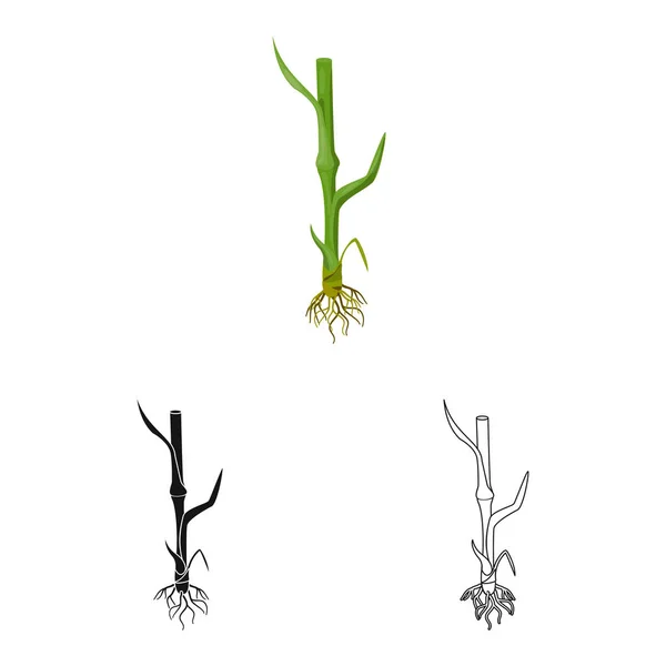 农业和农业标志的孤立对象。农业和植物种群向量例证的汇集. — 图库矢量图片