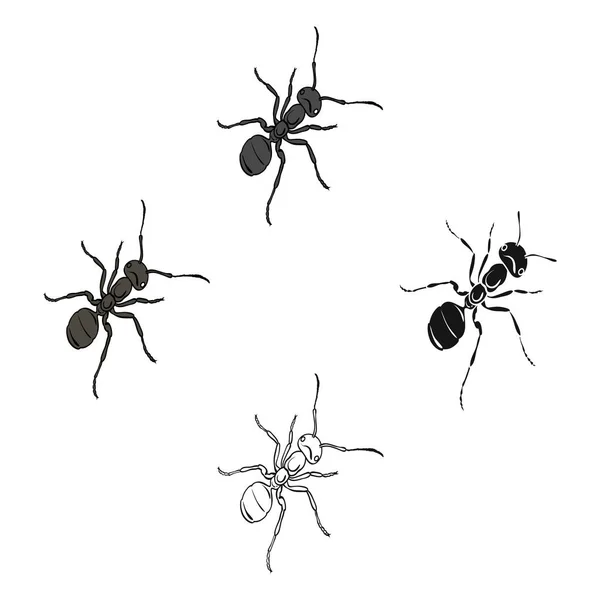 Гименоптерово насекомое является ant.членистоногий муравей одной иконки в мультфильме, черный стиль векторных запасов изометрической иллюстрации паутины . — стоковый вектор
