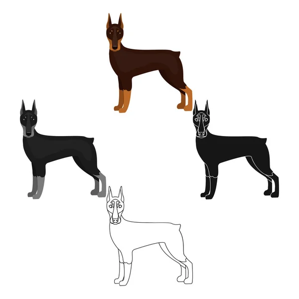 Doberman, único icono en la historieta, estilo negro.Doberman, vector símbolo stock illustration web . — Vector de stock