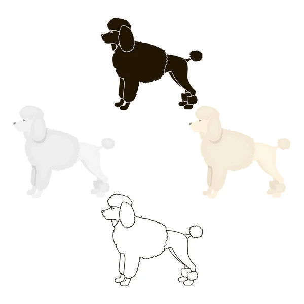 Ícone de vetor de poodle em desenho animado, estilo preto para web — Vetor de Stock
