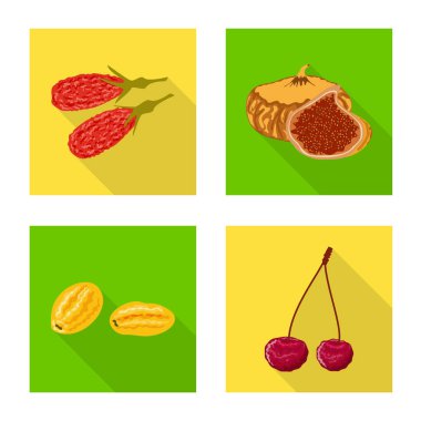 Meyve ve kurutulmuş sembolü yalıtılmış nesne. Meyve kümesi ve hisse senedi için gıda vektör simgesi.
