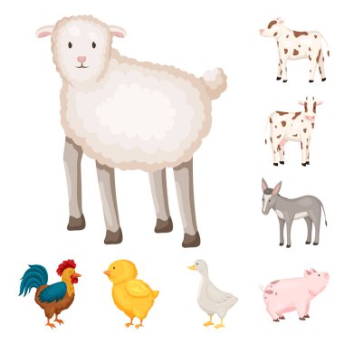 Çiftlik ve gıda simgesiizole nesne. Çiftlik ve kırsal stok vektör illüstrasyon seti.