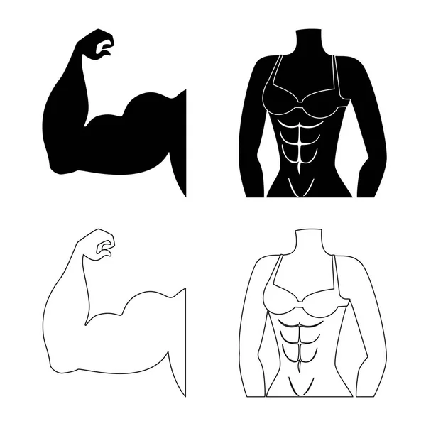 Ilustración vectorial de fibra y signo muscular. Conjunto de fibra y cuerpo stock vector ilustración . — Vector de stock