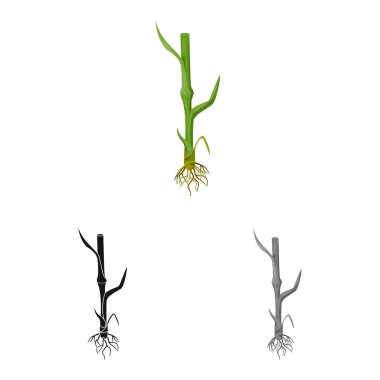 Tarım ve işareti tarım vektör tasarımı. Tarım ve bitki hisse senedi vektör çizim seti.