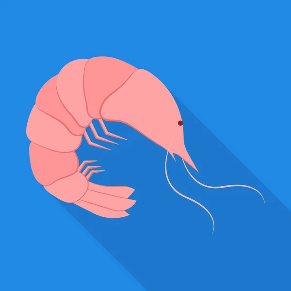 Ilustración vectorial de gambas y símbolo de criatura. Colección de gambas y vector fresco icono para stock . — Vector de stock