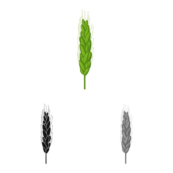 Conception vectorielle du logo agricole et agricole. Ensemble d'illustration vectorielle de l'agriculture et du matériel végétal . — Image vectorielle