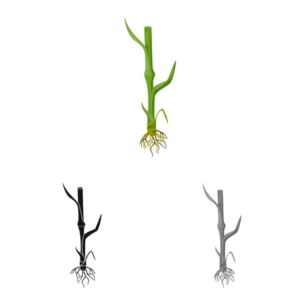 农业和农业标志的矢量设计。农业和植物种群向量例证的集合. — 图库矢量图片