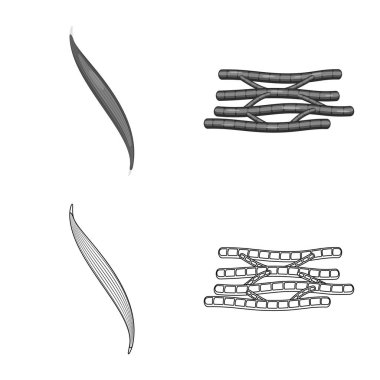 Lif ve kas sembolü yalıtılmış nesne. Web için lif ve vücut hisse senedi simgesi kümesi.