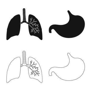 Biyoloji ve bilimsel simge vektör tasarımı. Hisse senedi için biyoloji ve laboratuvar vektör simge kümesi.