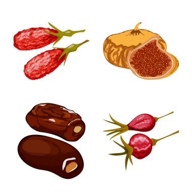 Meyve ve kurutulmuş simge vektör Illustration. Meyve toplama ve hisse senedi için gıda vektör simgesi.