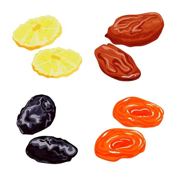 Векторный дизайн фруктов и сушеного символа. Набор символов фруктов и пищевых запасов для интернета . — стоковый вектор
