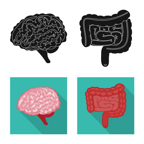 生物学と科学的なアイコンのベクター デザイン。生物学研究所 web 株式記号のセット. — ストックベクタ