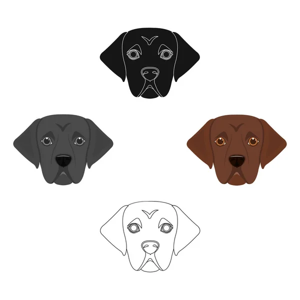 La raza de perro es un labrador.Muzzle Labrador Retriever único icono en la historieta, negro estilo vector símbolo stock ilustración web . — Vector de stock