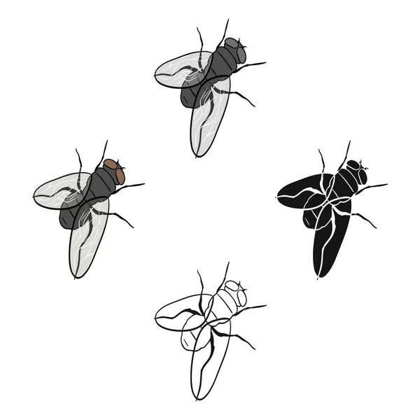 Dipterous insect fly single icon in cartoon, black style vector symbol stock isometric illustration web . — стоковый вектор