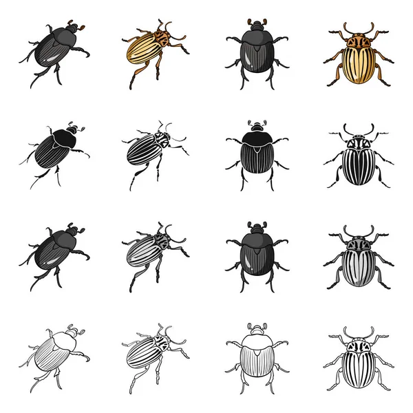 Векторная конструкция иконы насекомых и жуков. Набор насекомых и символ Хэллоуина для паутины . — стоковый вектор
