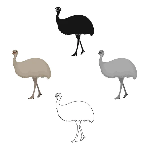 Ptak, strusia EMU. Afrykańskie dziki ikona ilustracja kreskówka pojedynczy symbol wektor www. — Wektor stockowy