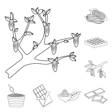 Kakao ve fasulye logosu vektör tasarımı. Kakao ve tatlılık stok vektör illüstrasyon seti.