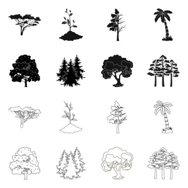 Ağaç ve orman sembolü yalıtılmış nesne. Ağaç ve yeşil vektör simgesini hissenin koleksiyonu.