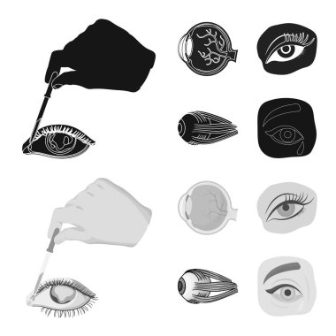 Tıbbi ve göz küresi işareti vektör illüstrasyon. Tıbbi ve optik stok vektör illüstrasyon seti.