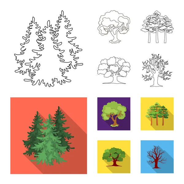 Izolovaný objekt ikony strom a les. Sada strom a zelené burzovní symbol pro web. — Stockový vektor