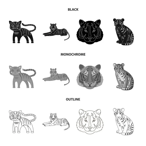 Conception vectorielle de tigre et signe asiatique. Collection d'illustration vectorielle de tigre et de tatouage . — Image vectorielle