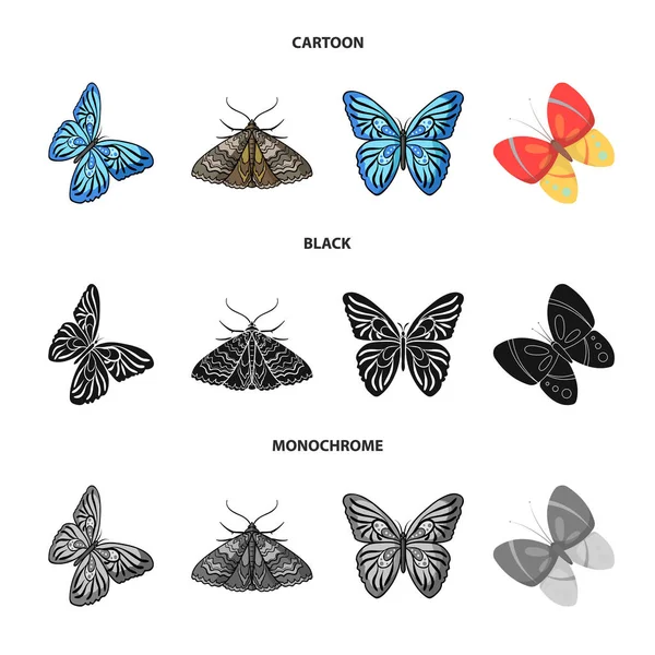 Conception vectorielle de couleur et icône de printemps. Collection d'icônes vectorielles couleur et mouche pour stock . — Image vectorielle