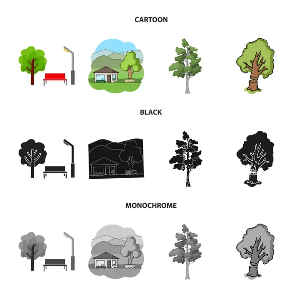 Oggetto isolato di albero e simbolo della foresta. Raccolta di illustrazioni vettoriali su alberi e ceppi verdi . — Vettoriale Stock