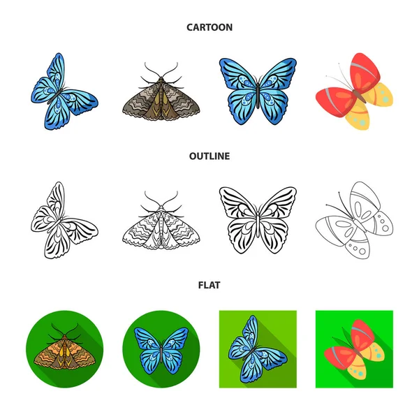 Vektorillustration von Farbe und Federlogo. Sammlung von Farb- und Fliegenvektorsymbolen für Aktien. — Stockvektor