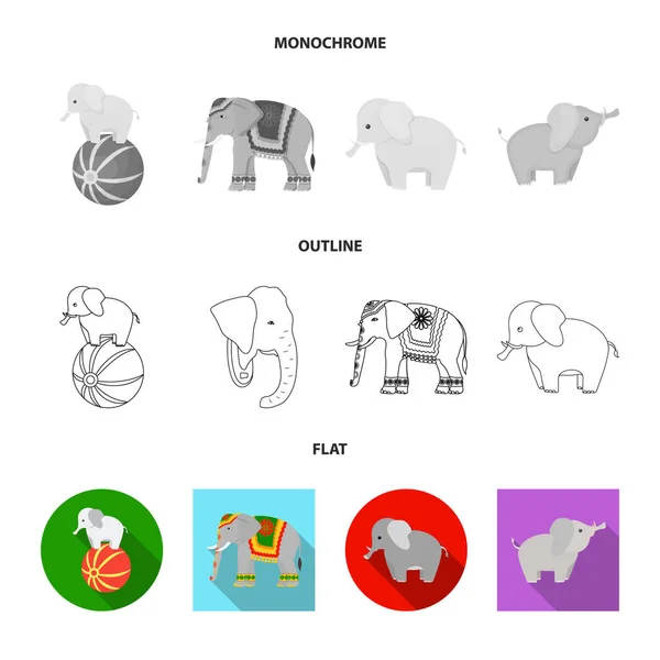 코끼리와 아시아 기호의 벡터 그림입니다. 코끼리와 코끼리 스톡 벡터 일러스트의 컬렉션. — 스톡 벡터