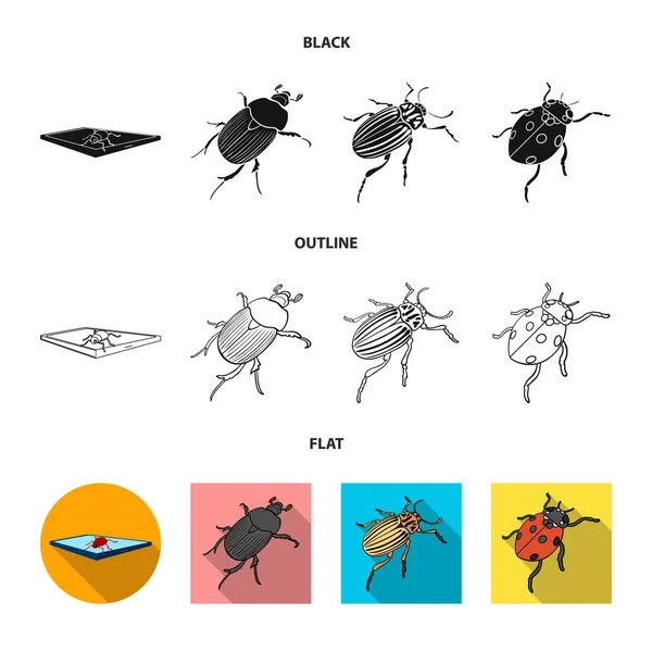 Vector illustration of insect and beetle icon. Set of insect and halloween vector icon for stock. — Stock Vector