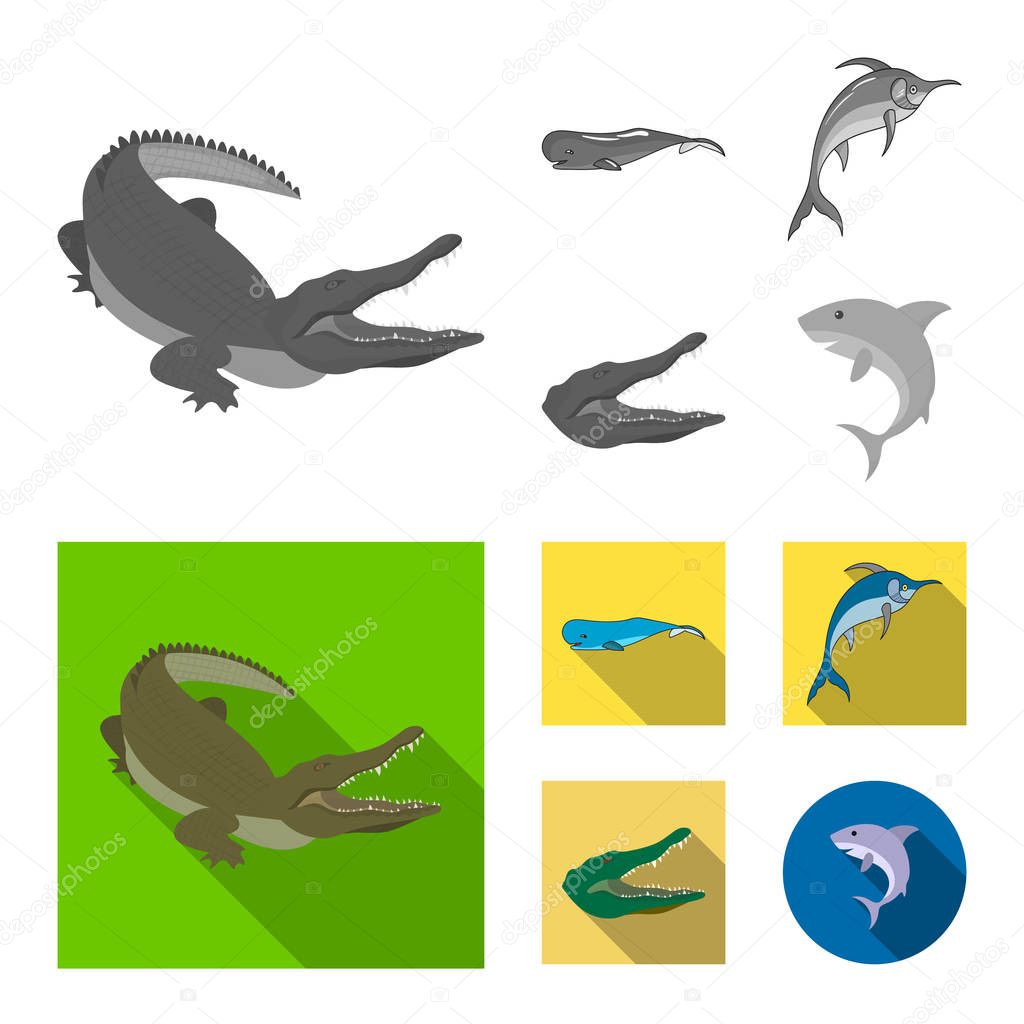 Vector design of sea and ocean symbol. Collection of sea and reptiles stock symbol for web.