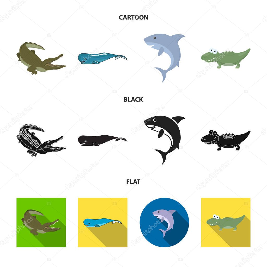 Vector illustration of sea and ocean sign. Set of sea and reptiles vector icon for stock.