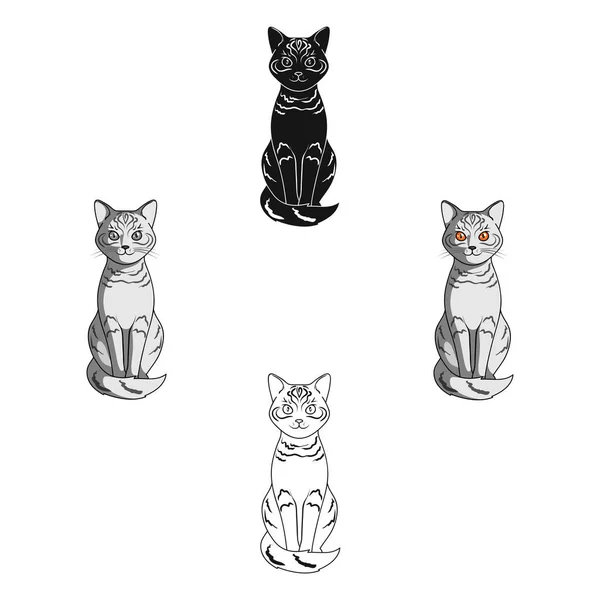 Gris cat.Animals único icono en la historieta, negro estilo vector símbolo stock ilustración web . — Archivo Imágenes Vectoriales