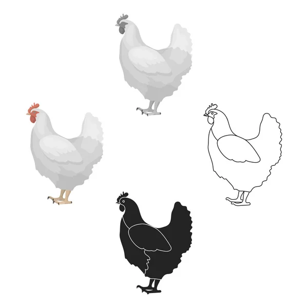 Ikona kurczaka w kreskówce, czarny styl na białym tle. Ilustracja symbol ptak wektor. — Wektor stockowy